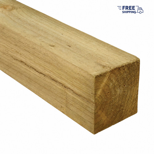 100 2400mm incised - 100,