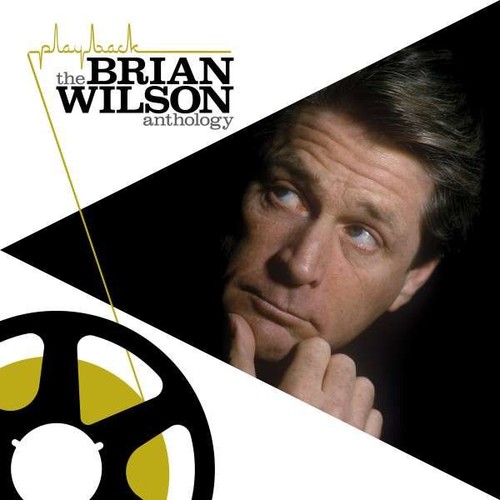 Audio brian wilson - cd,
