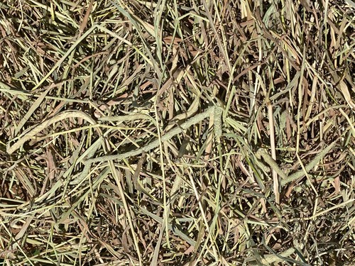 Fox peak timothy hay rabbits - peak,