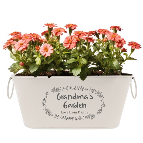 Personalised plant pot - plant,