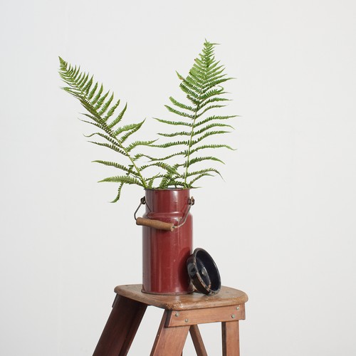 Antique vintage rustic medium - vintage,