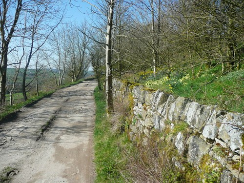 Photo 6x4 height lane - height,