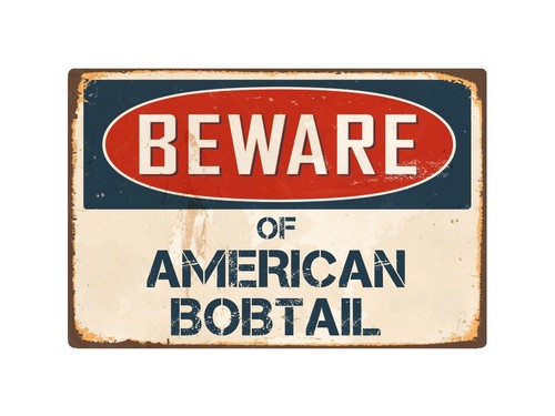 Beware american bobtail - of, 8"