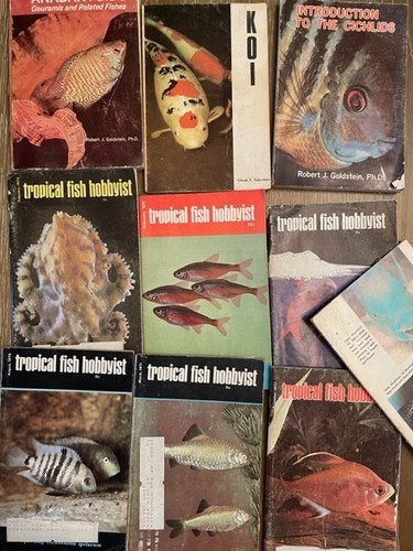 Lot assorted tropical - lot, of