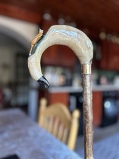 Shepards Croock Rams Horn Handel With Carved Fox One Pice Hazell Shanck