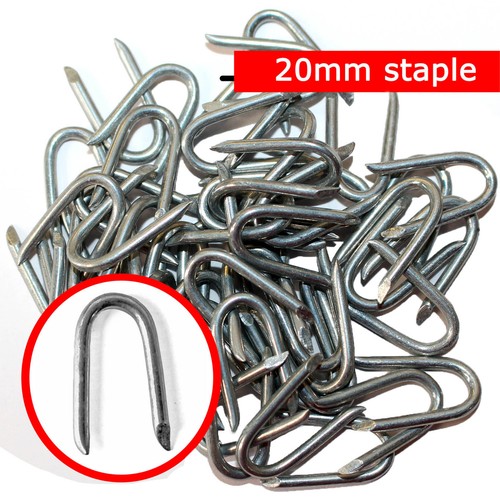 100pcs galvanised nails - u, 20mm