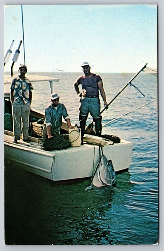 Tuna fishing the - fishing,