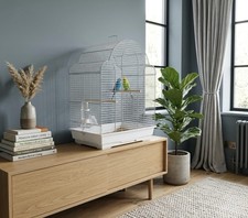 Spacious bird cage with - spacious,
