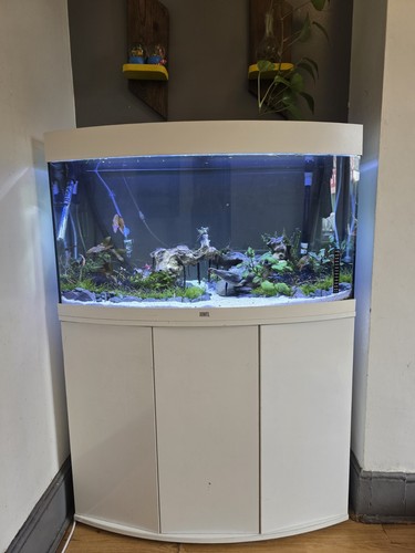 Juwel vision 180 - juwel, tank