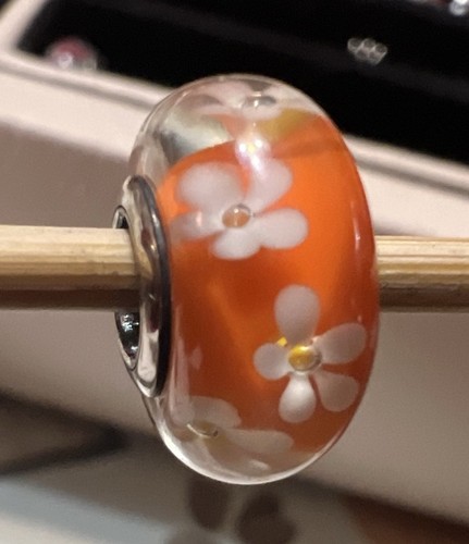 Authentic pandora murano glass - authentic,