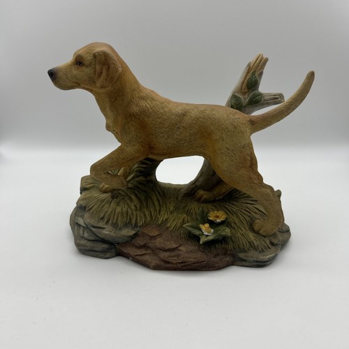 Kowa golden labrador dog - labrador,