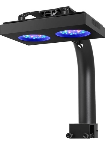 Nicrew hyperreef 100 gen - 100, 2