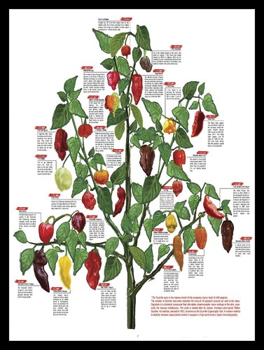 Pepper tree retro - tree,, metal