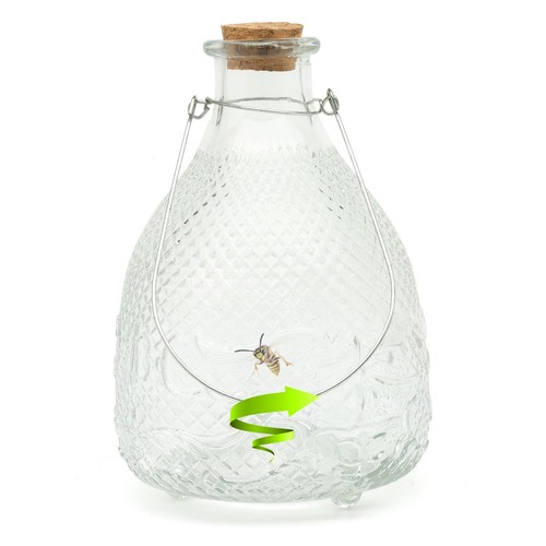 Glass wasp trap - glass, extra