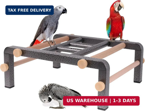 Large bird table - table, training