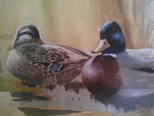 Vintage arthur gee mallard - vintage,