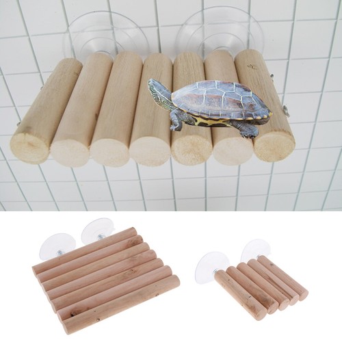 Reptile vivarium decoration - vivarium,