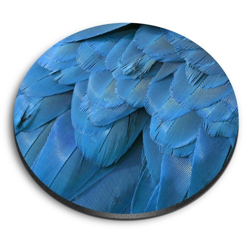 Round mdf magnets blue - -,