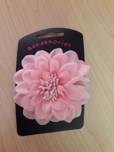 Bnwt accessories pretty - bnwt,