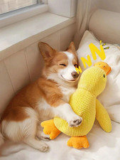 Pet Dog Chew Toys Calming Duck Indestructible Dog Engaging Squeaky Sound Toys UK