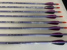 X8 Easton Jazz Arrows 1816 Lite Archery Bow Hunting