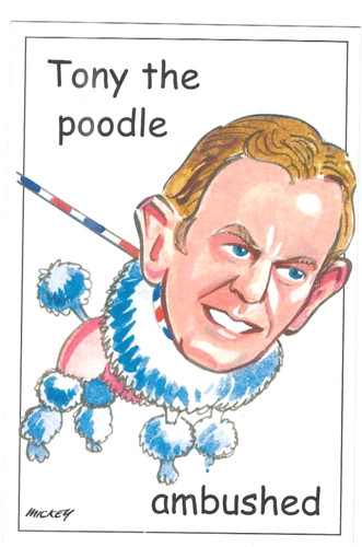 Political tony the - political,