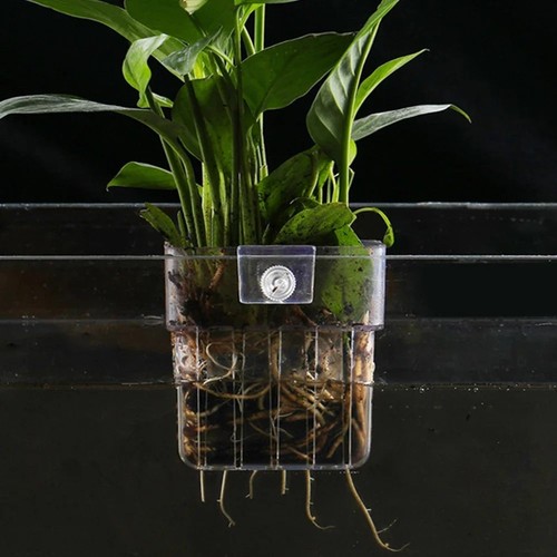 Aquarium plant holder 1pack - aquarium,