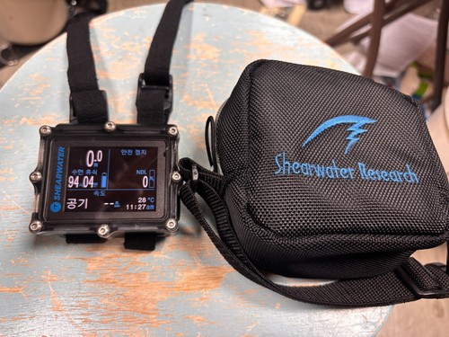 Shearwater petrel dive - shearwater,