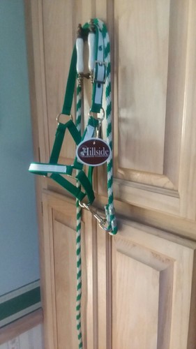 New nylon halter foal horse - new,