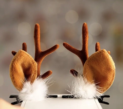 Christmas reindeer - 🦌🎄christmas,