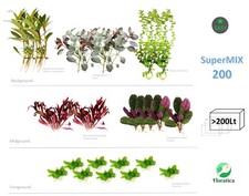 Super Mix Bundle V1 200+ Lt