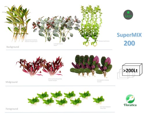 Super mix bundle 200 lt - super,