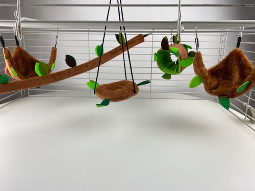 Rat toys pet enrichment - rat,