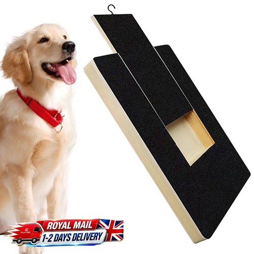 Dog nail scratch - dog, with
