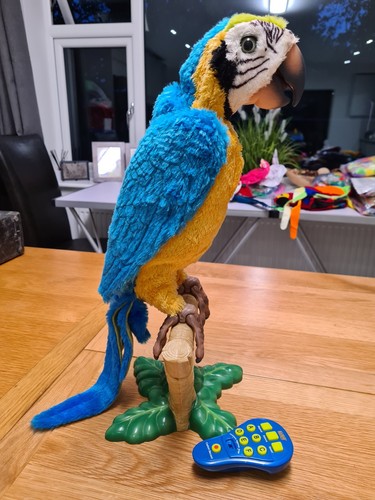 Furreal friend squawkers - squawkers, mccaw