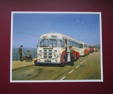 MALCOLM ROOT  9.20" x 7.10"