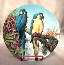 Bone China Plate