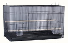 24" Aviary Budgie Canary