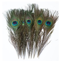 20pcs/pack Peacock Feathers