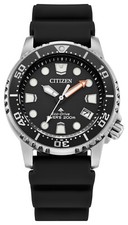 Citizen Women's Sea Date