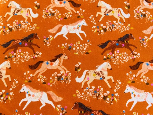 Dashwood studio desert moon - desert,