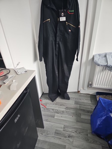 Dickies avanti embroidered - dickies,