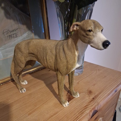 Leonardo resin greyhound - leonardo,