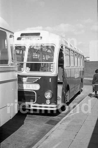 Western national royal - national,
