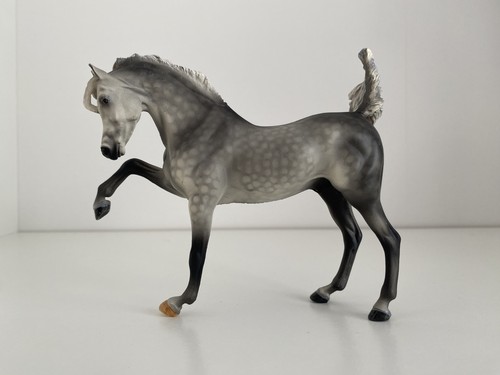 Wia sharif dapple grey arabian - wia,