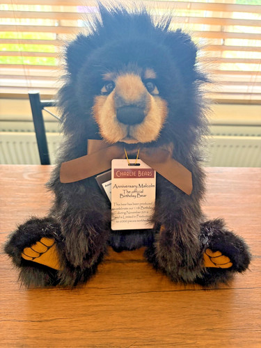 Charlie bear anniversary - charlie, bear,