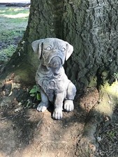 Boxer puppy dog sat stone