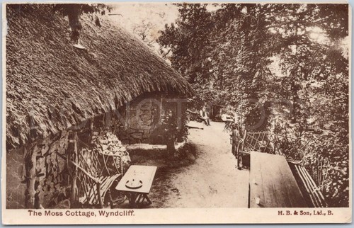 Wyndcliff rppc antique - wyndcliff,