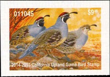 CALIFORNIA   2014 UPLAND GAME STAMP GAMBEL QUAIL By TimTurenne