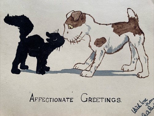 Cat dog affectionate - cat, &